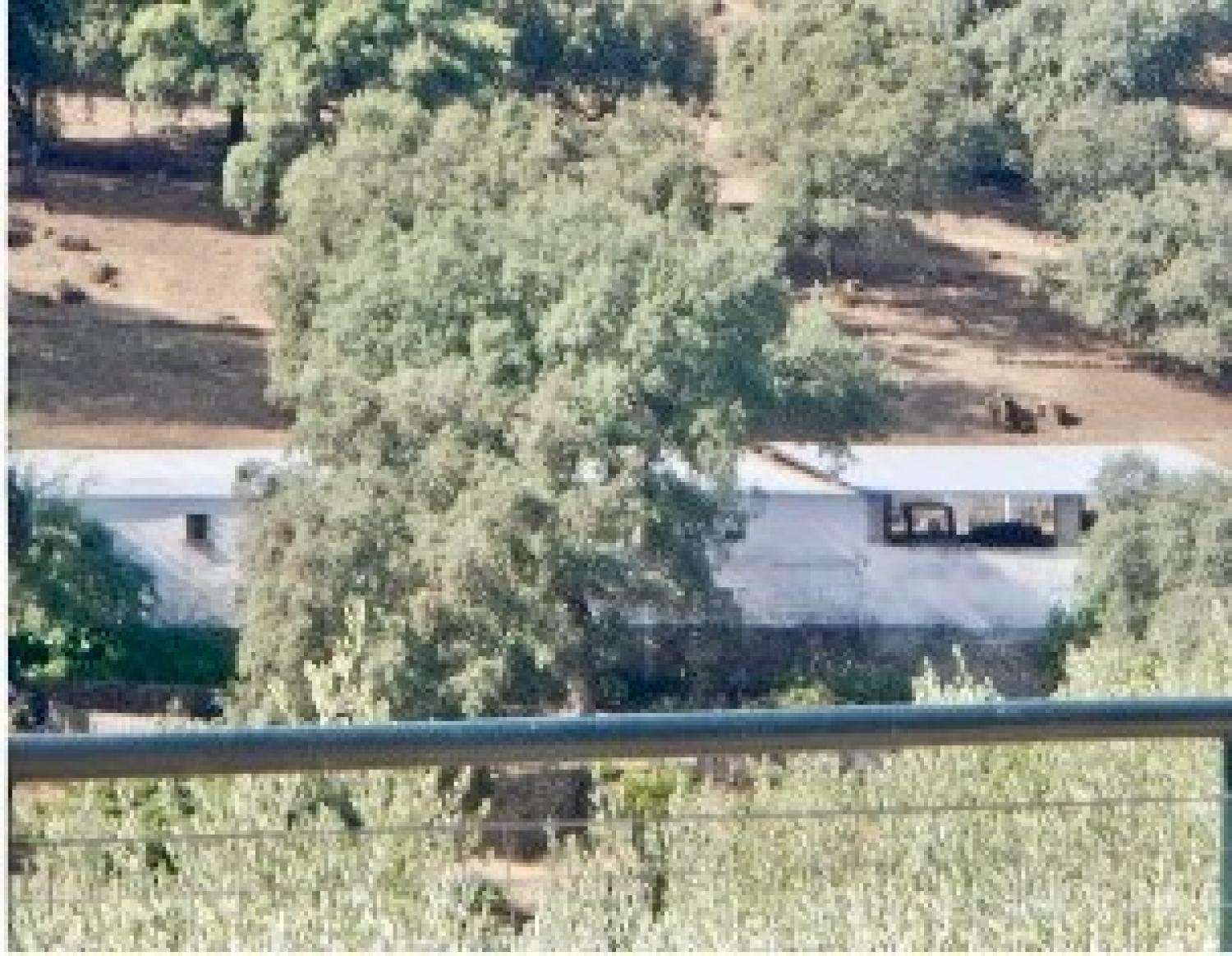 FINCA RÚSTICA  (Incluida en el Conjunto en Venta)